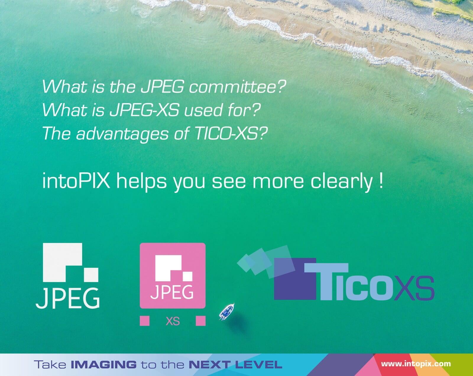 tico meaning tico meaning
